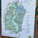 Geografisches Arboretum Rombergpark am 17,102018 (7)